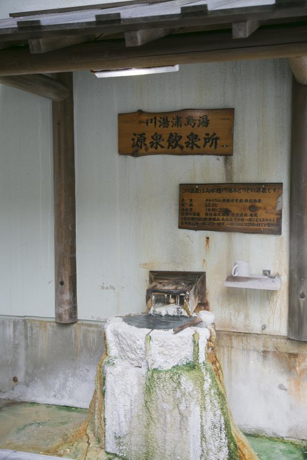 Sansuikan Kawayu Matsuya Hongu Esterno foto